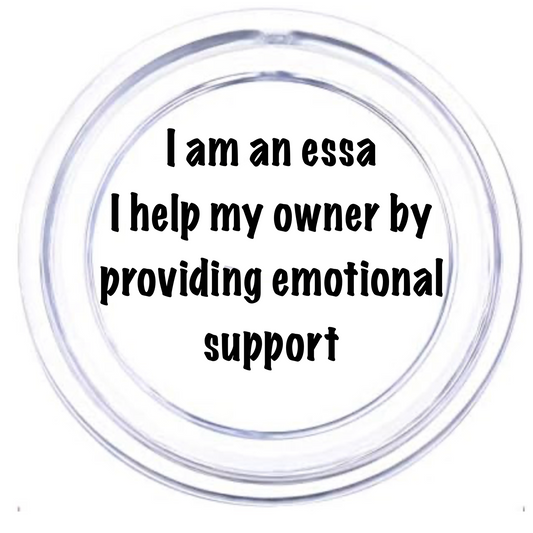 Essa Explanation Pin